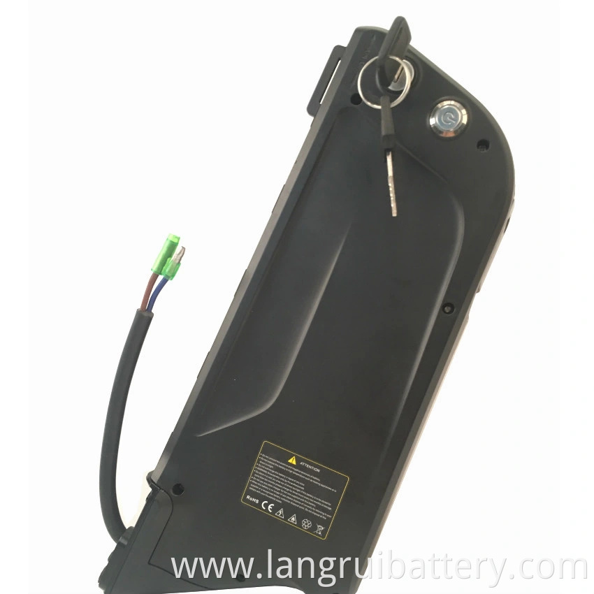 48V Lithium Ion Battery Good Sale